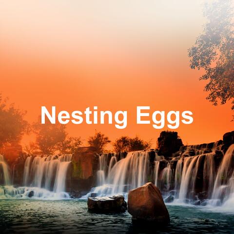 Nesting Eggs