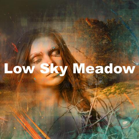 Low Sky Meadow