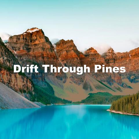 Drift Through Pines