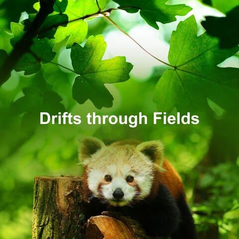 Drifts through Fields