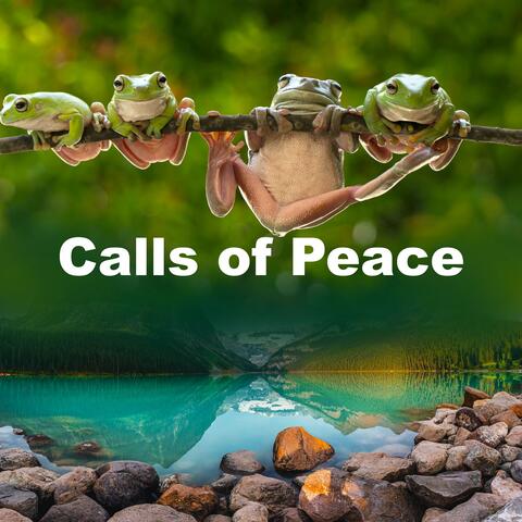 Calls of Peace
