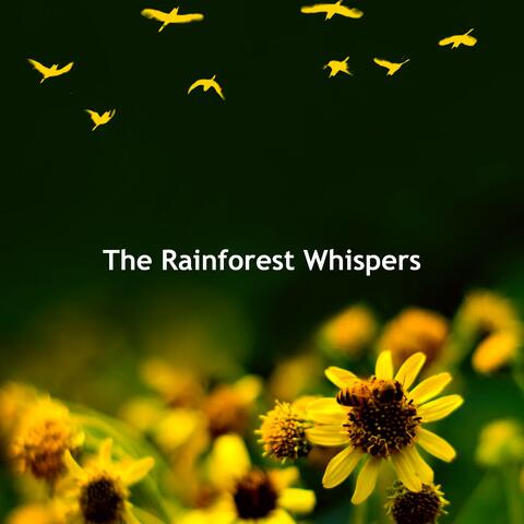 The Rainforest Whispers