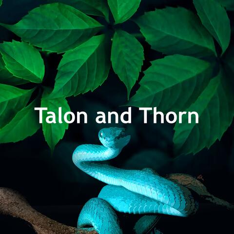 Talon and Thorn