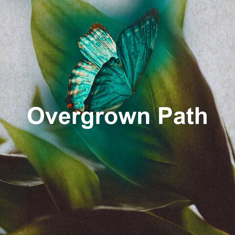 Overgrown Path