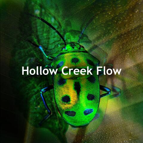 Hollow Creek Flow