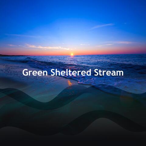 Green Sheltered Stream