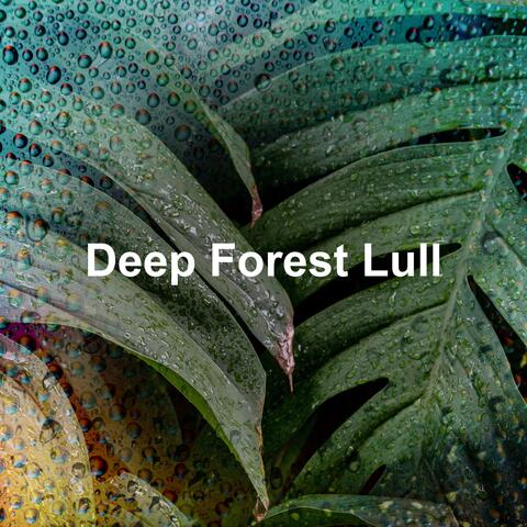 Deep Forest Lull