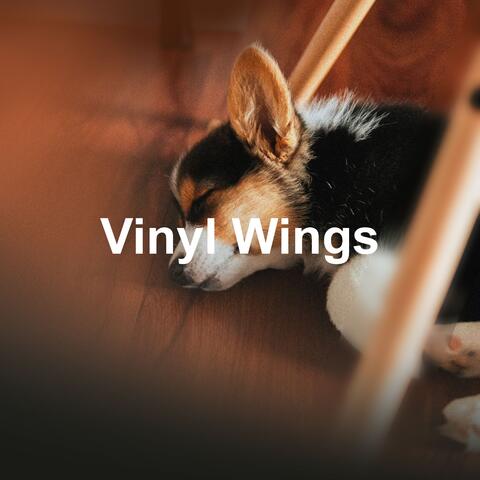 Vinyl Wings