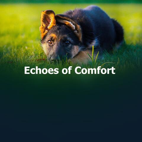 Echoes of Comfort