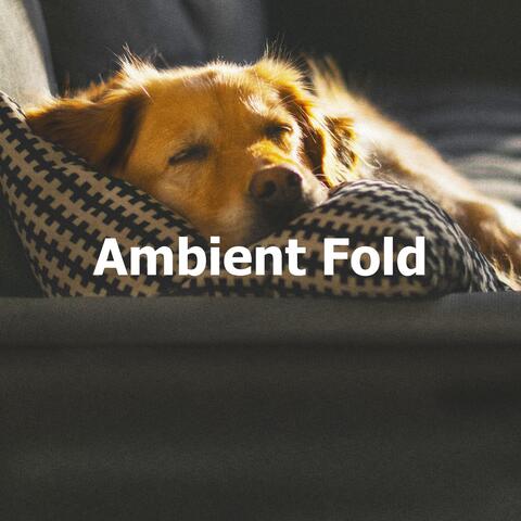 Ambient Fold