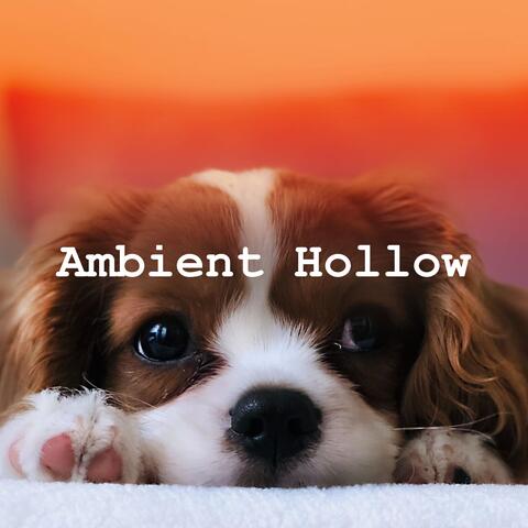 Ambient Hollow