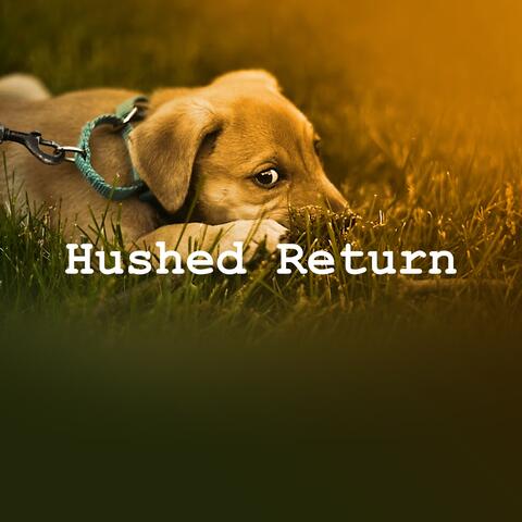 Hushed Return