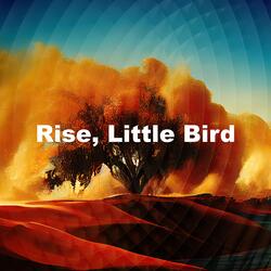 Dawning Hope