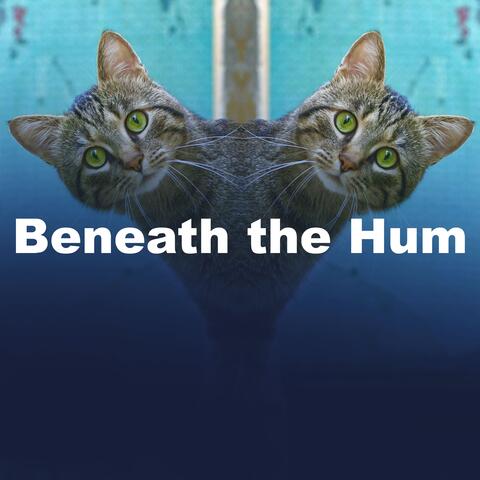 Beneath the Hum