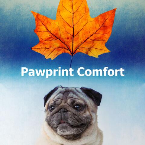 Pawprint Comfort
