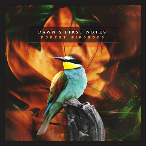 Dawn’s First Notes