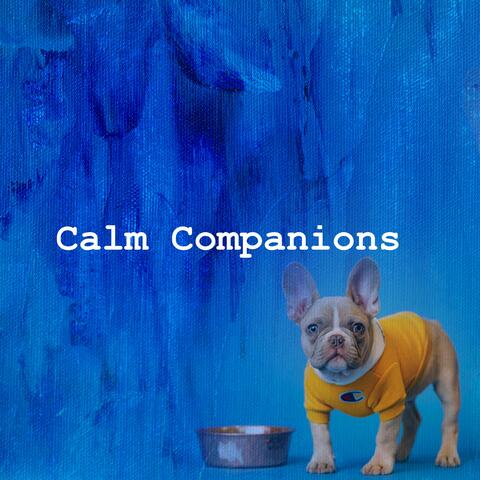 Calm Companions
