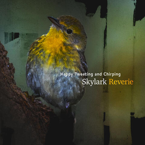 Skylark Reverie