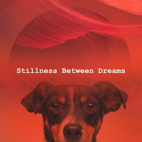 Stillness Between Dreams