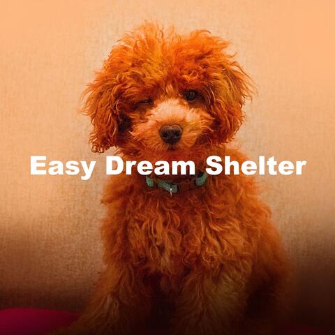 Easy Dream Shelter
