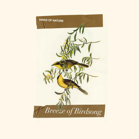 Breeze of Birdsong