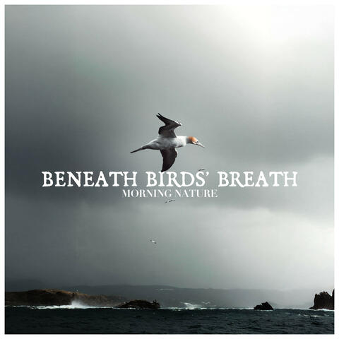 Beneath Birds’ Breath