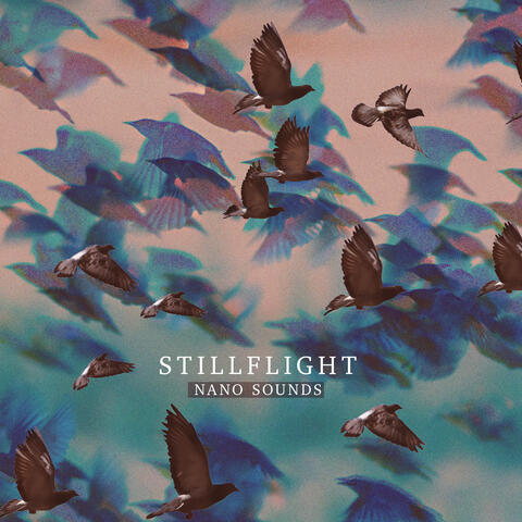 Stillflight
