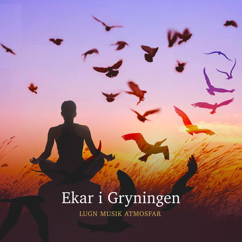 Ekar i Gryningen