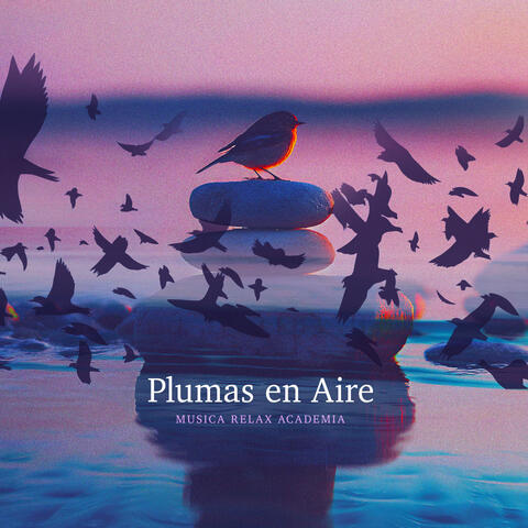 Plumas en Aire