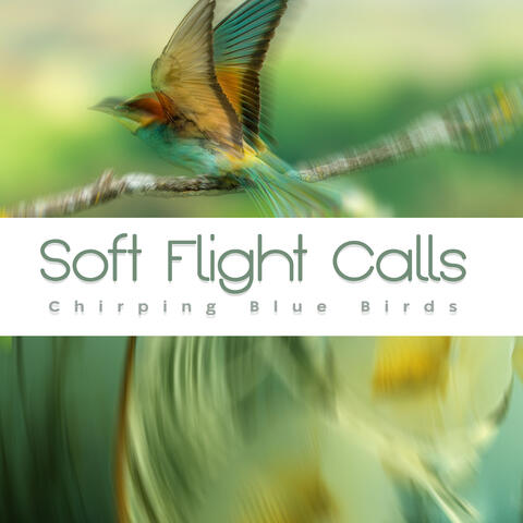 Soft Flight Calls