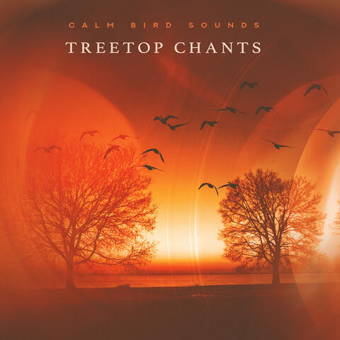 Treetop Chants