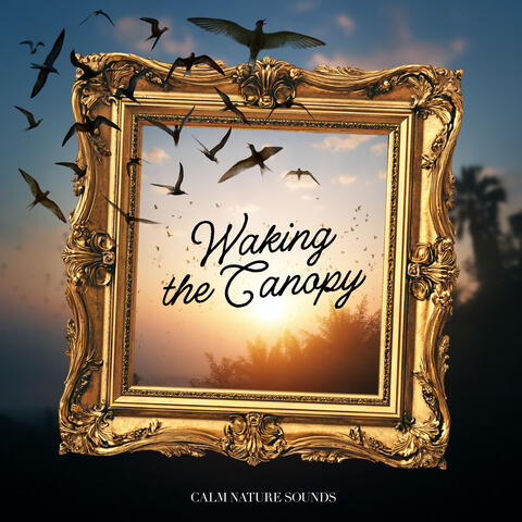 Waking the Canopy