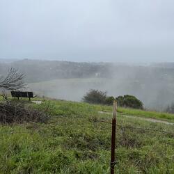 Hop Inna Foreign N Go