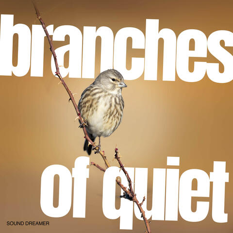 Branches of Quiet