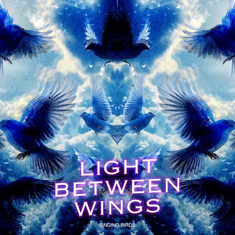 Light Between Wings