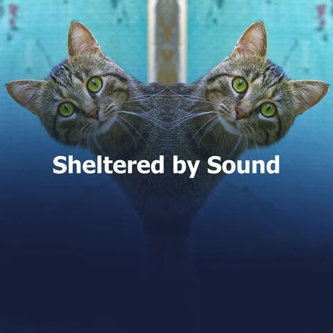 Sheltered by Sound