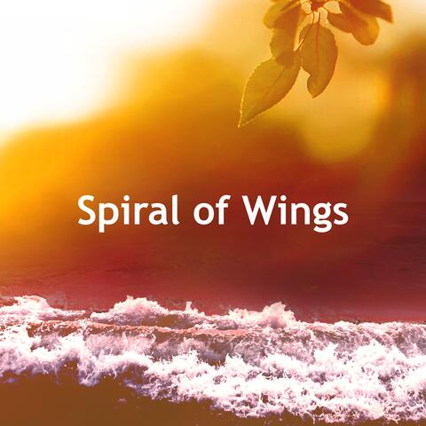 Spiral of Wings