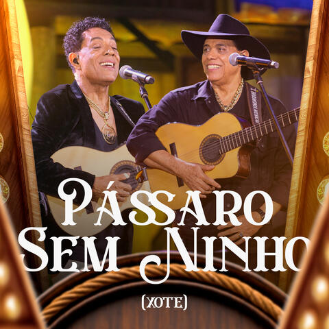 Pássaro Sem Ninho (xote)