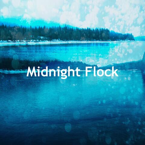 Midnight Flock