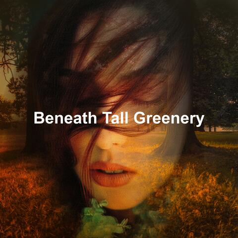 Beneath Tall Greenery
