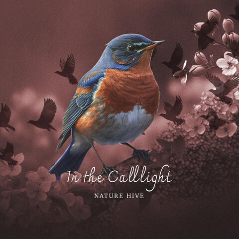 In the Calllight