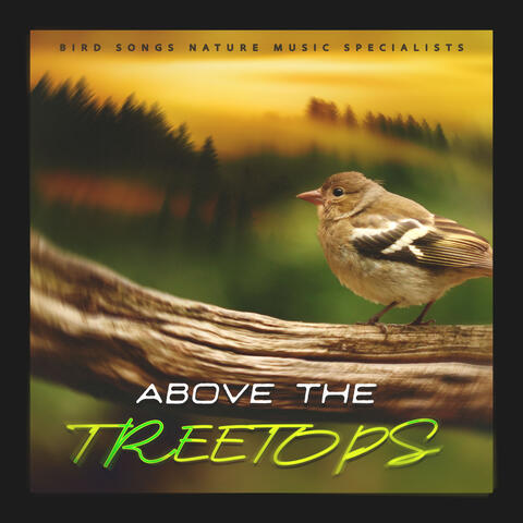 Above the Treetops
