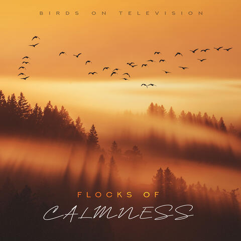 Flocks of Calmness