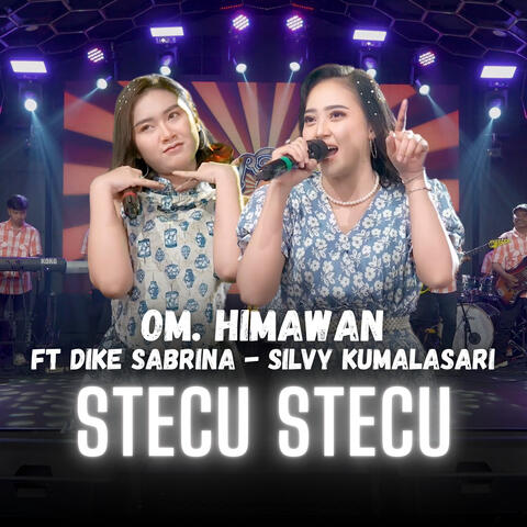 Stecu Stecu