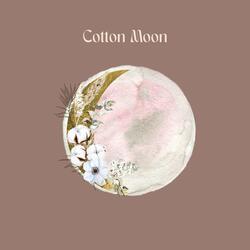 Cotton Moon
