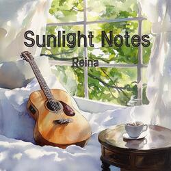 Sunlight Notes