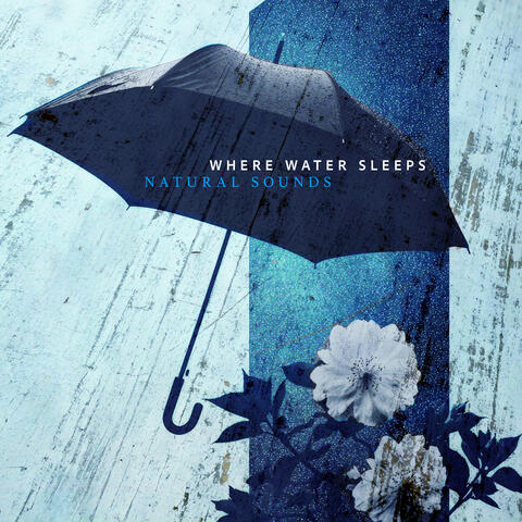 Where Water Sleeps