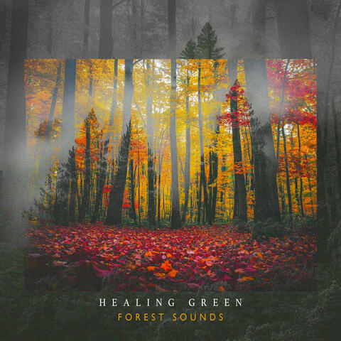 Healing Green