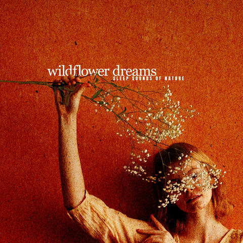 Wildflower Dreams