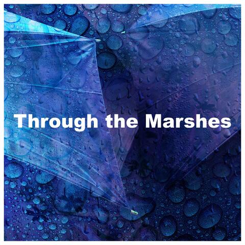 Through the Marshes